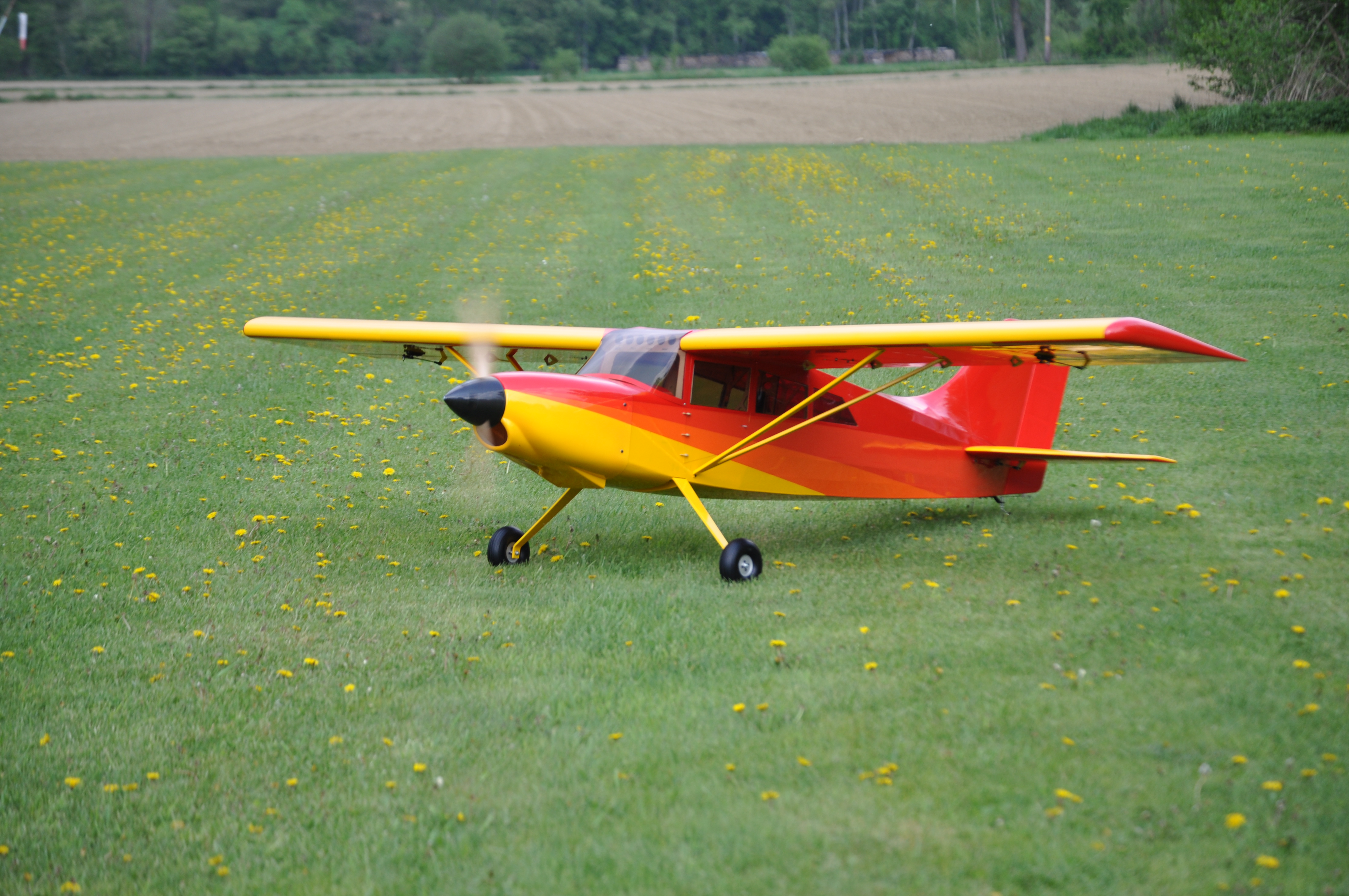 GB Models Maule