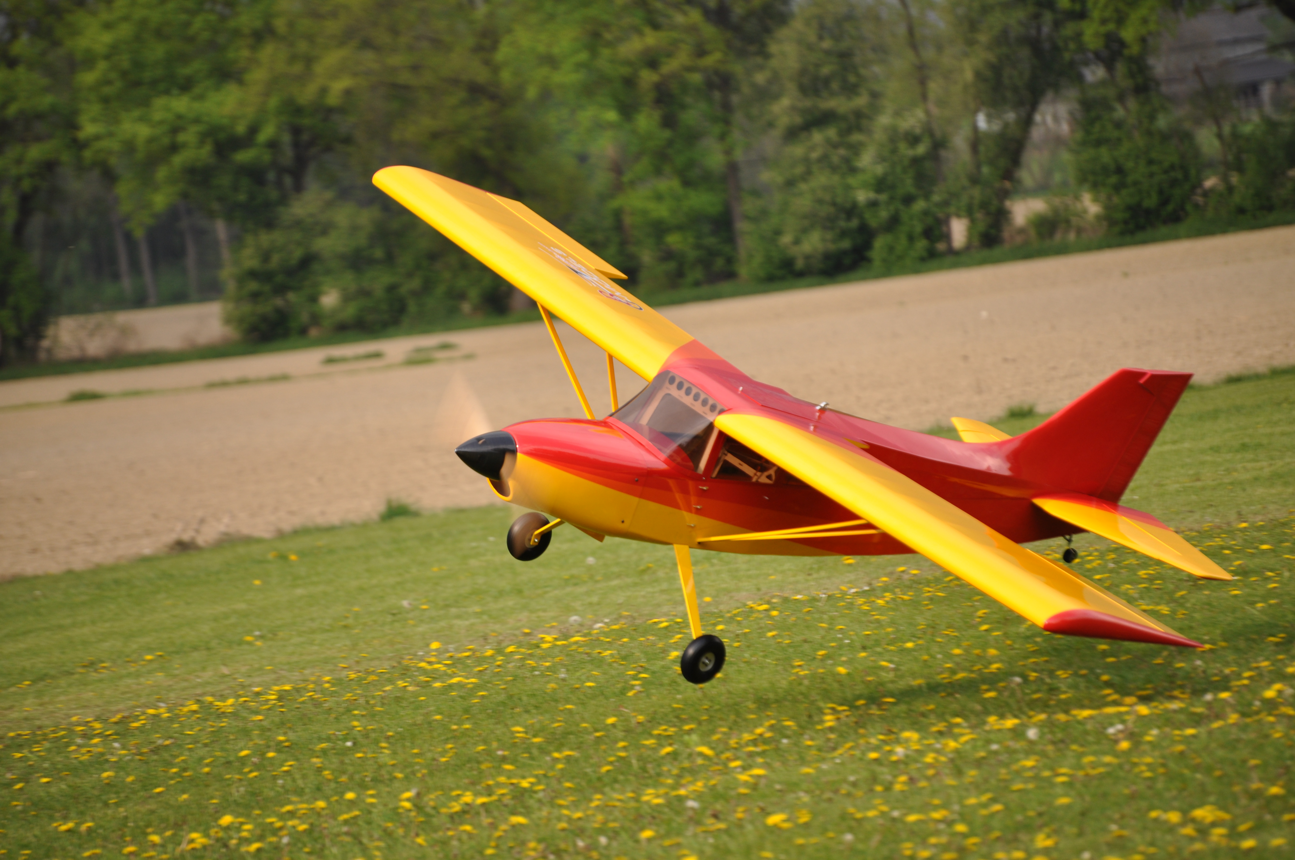 GB Models Maule