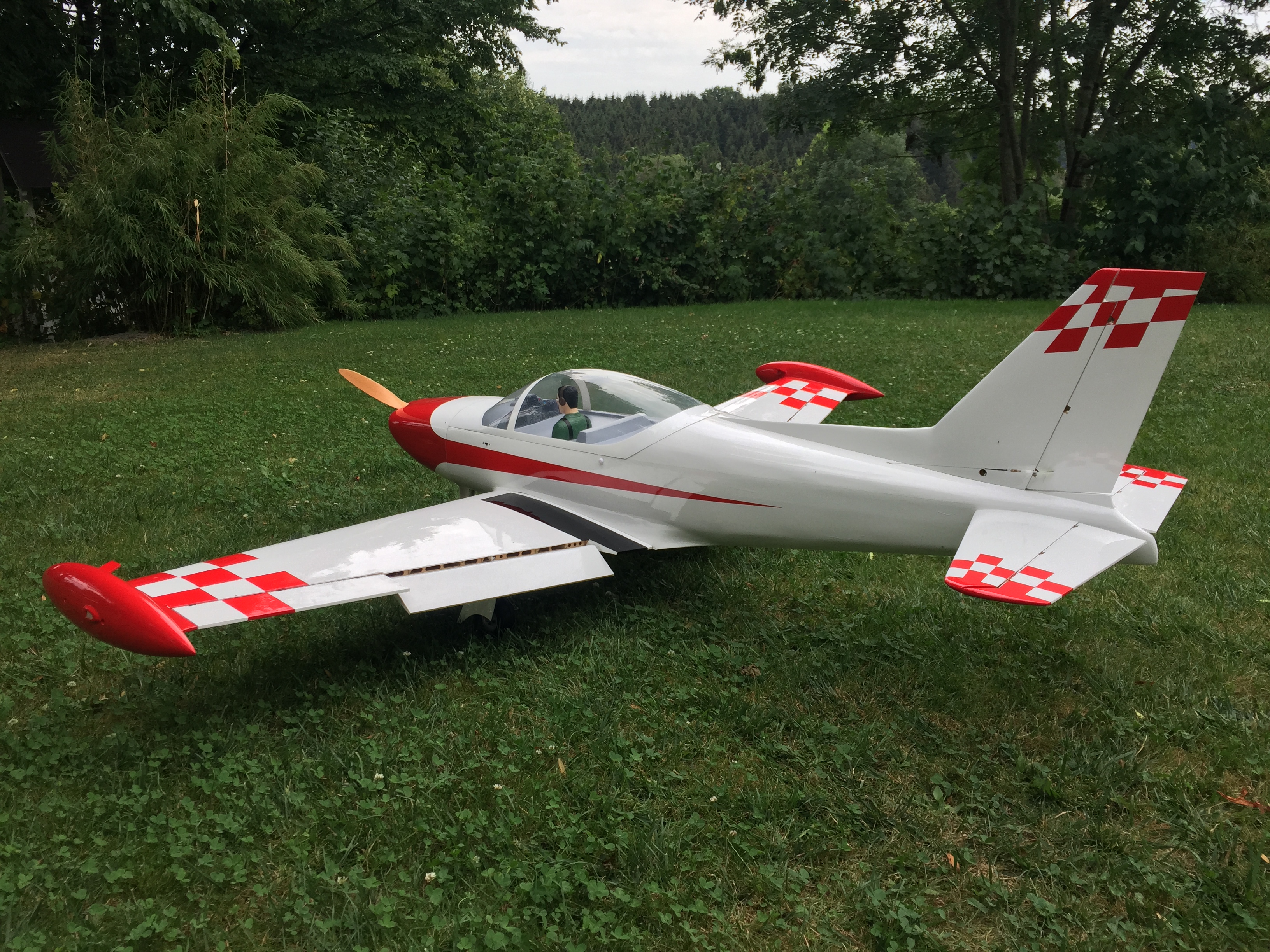 Modellflugzeugbauer Gernot Bruckmann