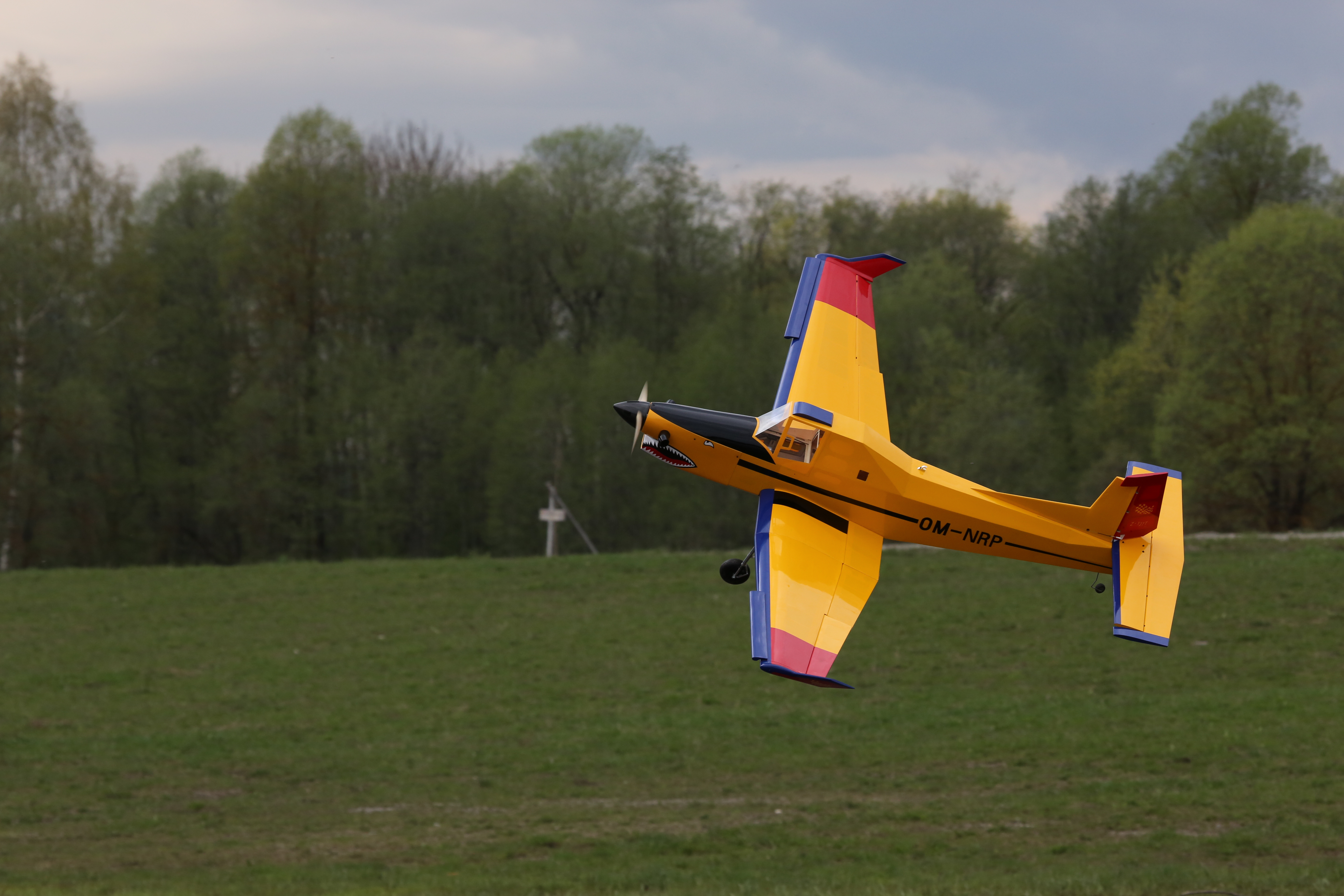Modellflugzeugbauer Gernot Bruckmann